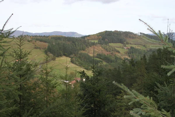 Paysage Rural Arbres Montagnes Après Midi Automne Sombre Pays Basque — Photo