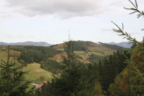 Bäuerliche Landschaft Aus Bäumen Und Bergen Einem Dunklen Herbstnachmittag Baskenland — Stockfoto