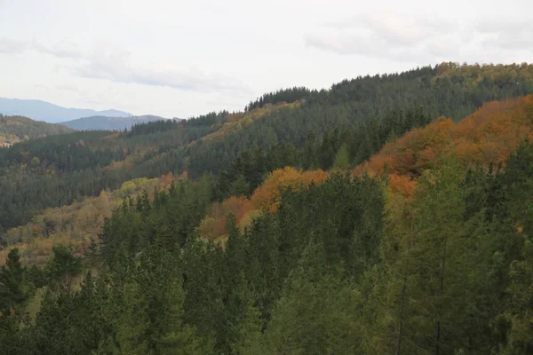 Paysage Rural Arbres Montagnes Après Midi Automne Sombre Pays Basque — Photo