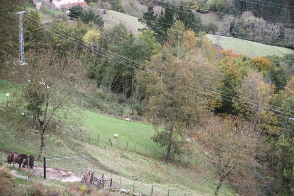 Paisaje Rural Árboles Montañas Una Tarde Oscura Otoño País Vasco —  Fotos de Stock