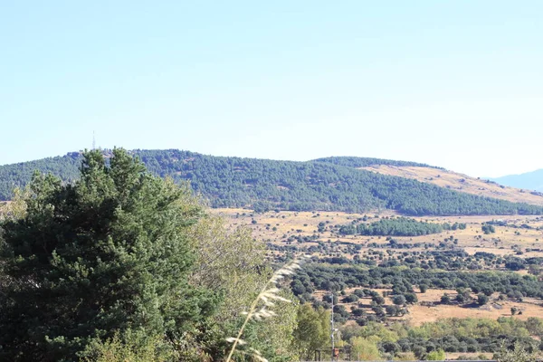 Αγροτικό Τοπίο Δέντρων Και Βουνών Στη Sierra Madrid Κοινότητα Μαδρίτης — Φωτογραφία Αρχείου