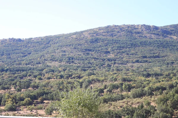 Landelijk Landschap Van Bomen Bergen Sierra Madrid Gemeenschap Van Madrid — Stockfoto