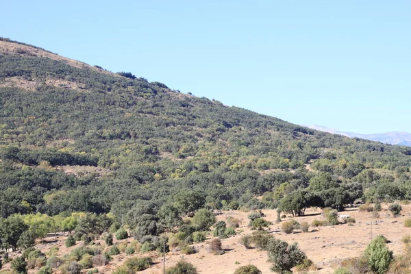 西班牙马德里社区Sierra Madrid的农村树木和山脉景观 — 图库照片