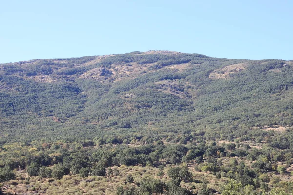 Vidéki Táj Fák Hegyek Sierra Madrid Közösség Madrid Spanyolország — Stock Fotó