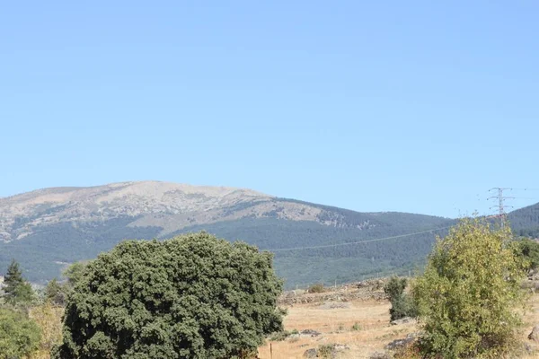 西班牙马德里社区Sierra Madrid的农村树木和山脉景观 — 图库照片