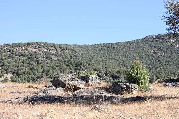 Paesaggio Rurale Alberi Montagne Nella Sierra Madrid Comunità Madrid Spagna — Foto Stock
