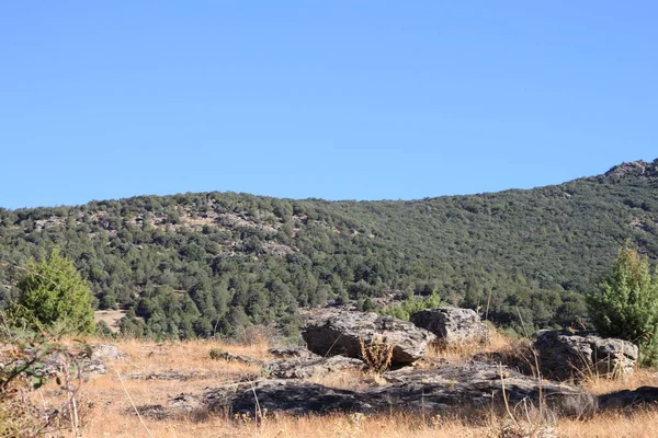 Landsbygdslandskap Med Träd Och Berg Sierra Madrid Madrid Spanien — Stockfoto