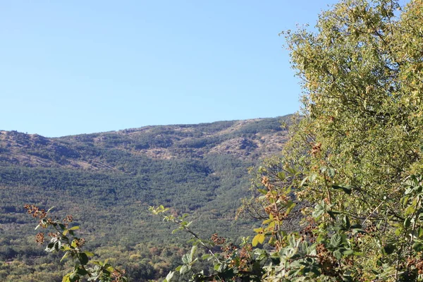 Ländliche Landschaft Mit Bäumen Und Bergen Der Sierra Madrid Gemeinde — Stockfoto