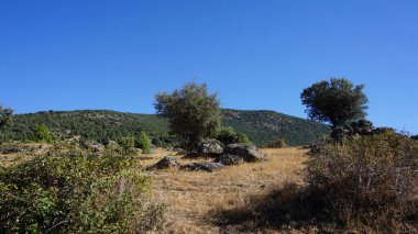 Bir yaz sabahı Sierra de Madrid manzarası