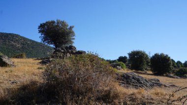 Bir yaz sabahı Sierra de Madrid manzarası