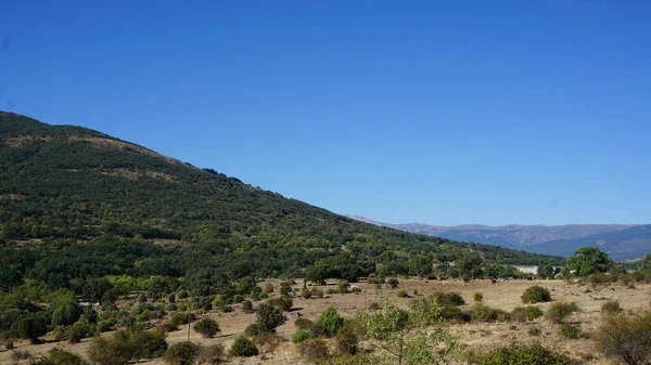 Τοπίο Της Sierra Madrid Ένα Πρωινό Του Καλοκαιριού — Φωτογραφία Αρχείου