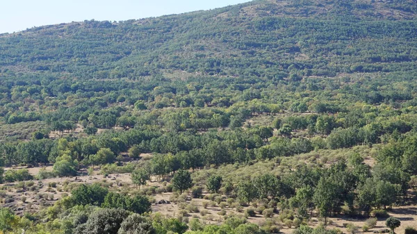 Paesaggio Della Sierra Madrid Una Mattina Estate — Foto Stock
