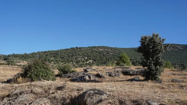Krajina Pohoří Sierra Madrid Jednoho Letního Rána — Stock fotografie
