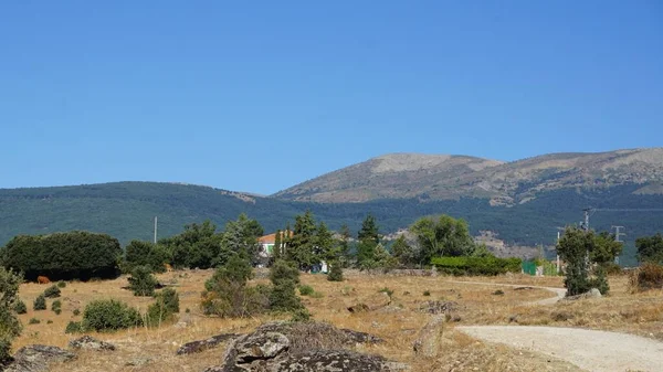 Krajina Pohoří Sierra Madrid Jednoho Letního Rána — Stock fotografie