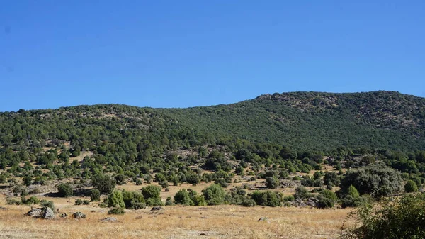 Landschaft Der Sierra Madrid Einem Sommermorgen — Stockfoto