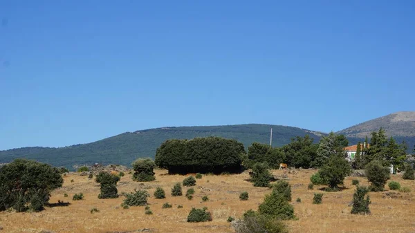 Krajina Pohoří Sierra Madrid Jednoho Letního Rána — Stock fotografie