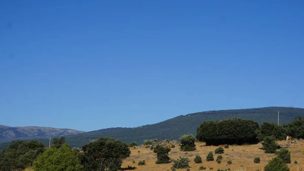 Paisagem Sierra Madrid Uma Manhã Verão — Fotografia de Stock