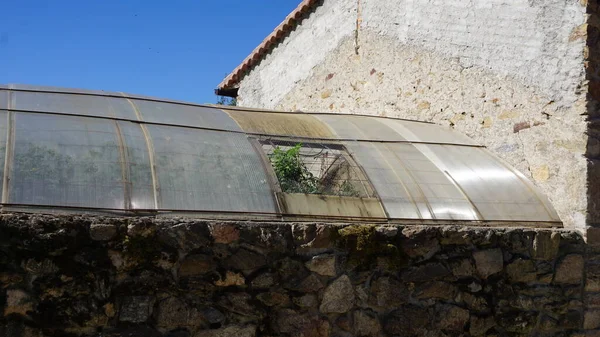 Växthus Med Fönster Taket — Stockfoto