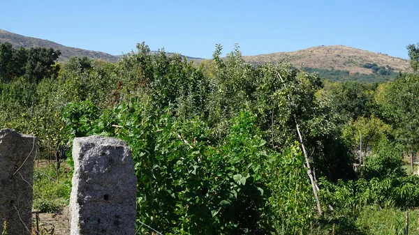 Paesaggio Rurale Nella Sierra Madrid Spagna — Foto Stock