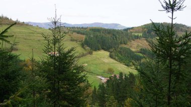 İspanya 'nın Bask ülkesinde sonbaharda dağlar ve ağaçların manzarası