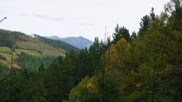 Landschaft Aus Bergen Und Bäumen Herbst Baskenland Spanien — Stockfoto