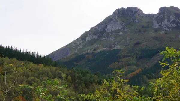 Pemandangan Pegunungan Dan Pohon Musim Gugur Negara Basque Spanyol — Stok Foto