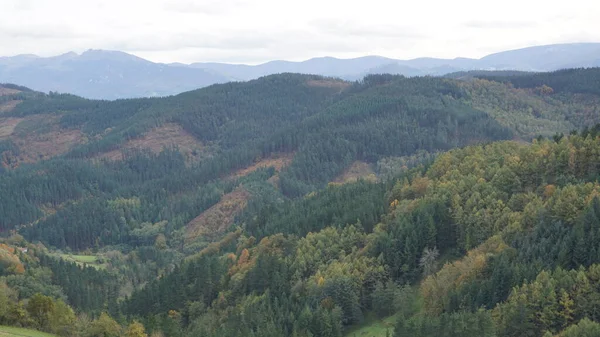 Paisagem Montanhas Árvores Outono País Basco Espanha — Fotografia de Stock