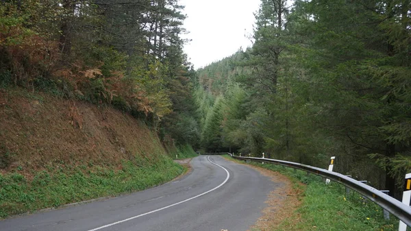 Paisaje Montañas Árboles Otoño País Vasco España —  Fotos de Stock