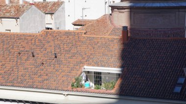 Madrid, İspanya, Eylül, 7, 2020: Madrid 'in merkezinde kırmızı kiremit çatılı yeşil bitkilerle birlikte orijinal teras