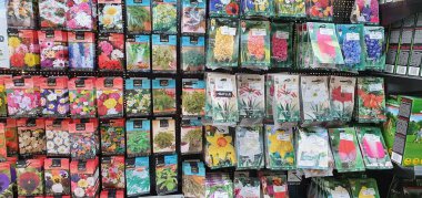 Donostia San Sebastian, Pais, Vasco, İspanya, Avrupa, Kasım 9, 2020: bir dükkanda aromatik bitki ve çiçek tohumları