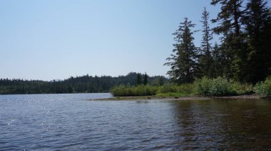 Amerika Birleşik Devletleri, Alaska 'da bir göl kenarındaki ağaçların ve yeşil dağların manzarası