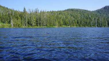 Amerika Birleşik Devletleri, Alaska 'da bir göl kenarındaki ağaçların ve yeşil dağların manzarası