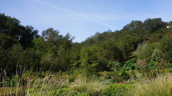 Gartenlandschaft Baskenland Mit Pflanzen Und Blumen Und Fröhlichen Farben — Stockfoto