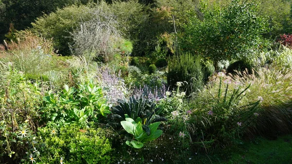 Paisaje Jardín País Vasco Con Plantas Flores Colores Alegres — Foto de Stock