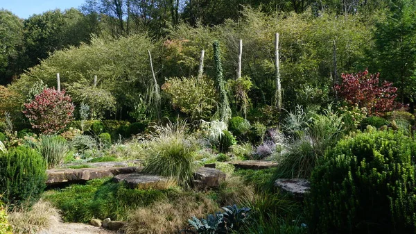 植物や花と明るい色を持つバスク国の庭園の風景 — ストック写真