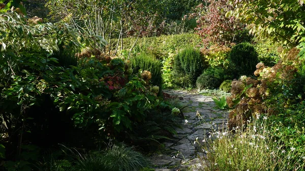 Paisagem Jardim País Basco Com Plantas Flores Cores Alegres — Fotografia de Stock