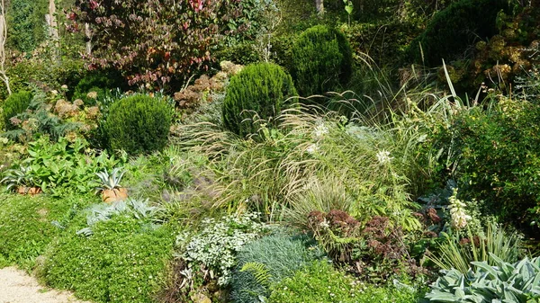 植物や花と明るい色を持つバスク国の庭園の風景 — ストック写真