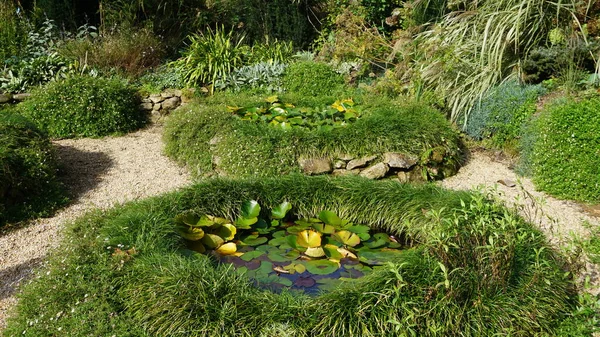 Paisaje Jardín País Vasco Con Plantas Flores Colores Alegres —  Fotos de Stock