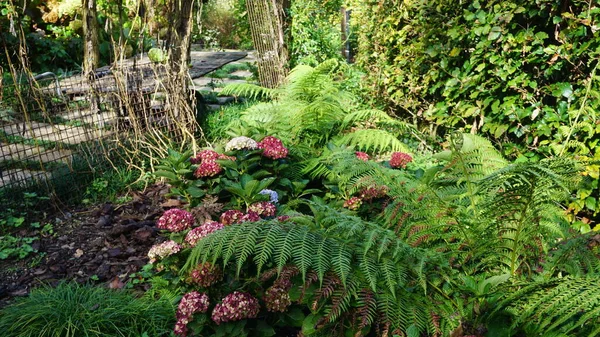 Paisaje Jardín País Vasco Con Plantas Flores Colores Alegres — Foto de Stock