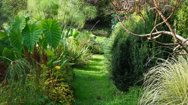 Paysage Jardin Pays Basque Avec Des Plantes Des Fleurs Des — Photo