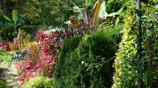 植物や花と明るい色を持つバスク国の庭園の風景 — ストック写真