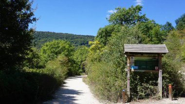 Navarra dağlarındaki bir ormanın yaz manzarası
