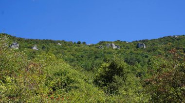 Urederra, Navarra, İspanya 'daki dağ ve ağaç manzaraları