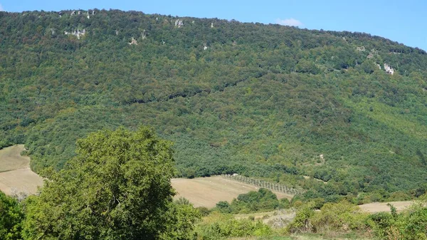 Landskap Berg Och Träd Urederra Navarra Spanien — Stockfoto