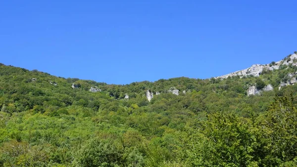 Paisajes Montañas Árboles Urederra Navarra España —  Fotos de Stock