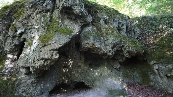 Paysage Estival Une Forêt Dans Les Montagnes Navarre — Photo