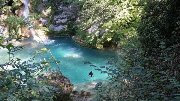 纳瓦拉山区森林中水晶水的景观 — 图库照片