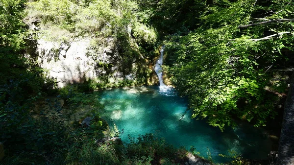 纳瓦拉山区森林中水晶水的景观 — 图库照片