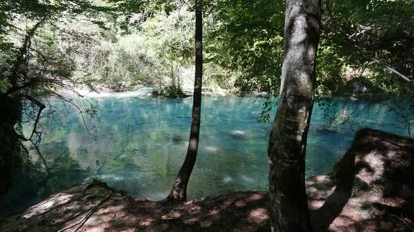 Kristallklares Wasser Einem Wald Den Bergen Navarras — Stockfoto