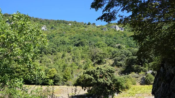 Landschappen Van Bergen Bomen Urederra Navarra Spanje — Stockfoto